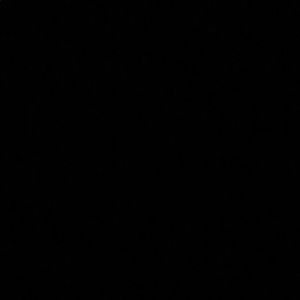 Meet your Posher, Alexia